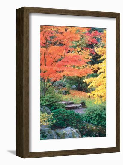 Fall Solitude-null-Framed Art Print