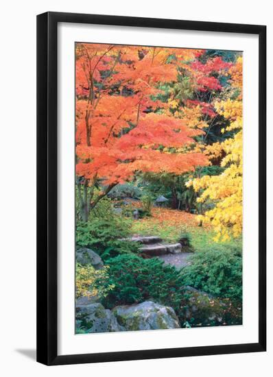 Fall Solitude-null-Framed Art Print