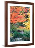 Fall Solitude-null-Framed Art Print