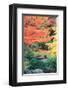 Fall Solitude-null-Framed Art Print