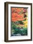 Fall Solitude-null-Framed Art Print