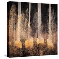 Fall Song-Ursula Abresch-Stretched Canvas