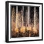 Fall Song-Ursula Abresch-Framed Photographic Print