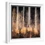 Fall Song-Ursula Abresch-Framed Photographic Print