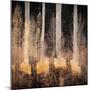 Fall Song-Ursula Abresch-Mounted Photographic Print