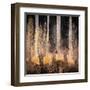 Fall Song-Ursula Abresch-Framed Premium Photographic Print