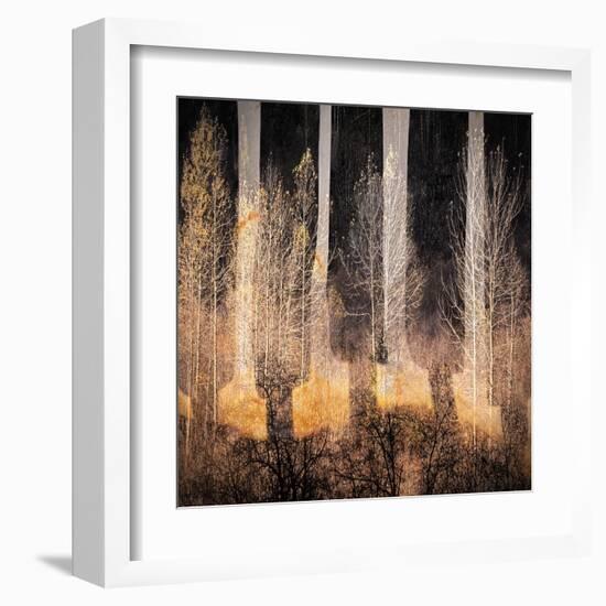 Fall Song-Ursula Abresch-Framed Premium Photographic Print