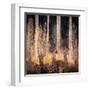 Fall Song-Ursula Abresch-Framed Premium Photographic Print