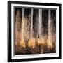 Fall Song-Ursula Abresch-Framed Photographic Print