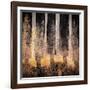 Fall Song-Ursula Abresch-Framed Photographic Print