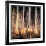 Fall Song-Ursula Abresch-Framed Photographic Print