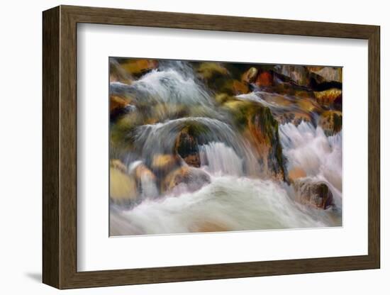 Fall Splashes-Ursula Abresch-Framed Photographic Print