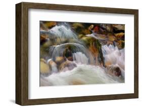 Fall Splashes-Ursula Abresch-Framed Photographic Print