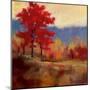 Fall Splendor I-Karen Margulis-Mounted Art Print