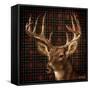 Fall Splendor on Plaid-Ruane Manning-Framed Stretched Canvas