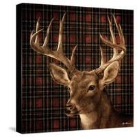 Fall Splendor on Plaid-Ruane Manning-Stretched Canvas