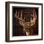 Fall Splendor on Plaid-Ruane Manning-Framed Art Print