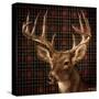 Fall Splendor on Plaid-Ruane Manning-Stretched Canvas