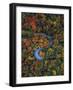 Fall Symmetry-Jared Kreiss-Framed Photo