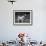 Fall, Tibetan Terrier, 37-Thomas Fall-Framed Photographic Print displayed on a wall