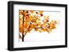 Fall Time-Philippe Sainte-Laudy-Framed Premium Photographic Print