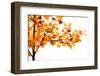 Fall Time-Philippe Sainte-Laudy-Framed Photographic Print