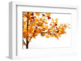 Fall Time-Philippe Sainte-Laudy-Framed Photographic Print