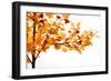 Fall Time-Philippe Sainte-Laudy-Framed Photographic Print