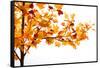 Fall Time-Philippe Sainte-Laudy-Framed Stretched Canvas