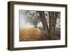 Fall to Winter-David Lorenz Winston-Framed Art Print