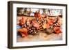 Fall Toys-Philippe Sainte-Laudy-Framed Photographic Print