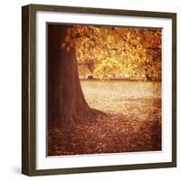 Fall Tree 001-Tom Quartermaine-Framed Giclee Print