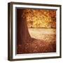 Fall Tree 001-Tom Quartermaine-Framed Giclee Print