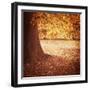 Fall Tree 001-Tom Quartermaine-Framed Giclee Print