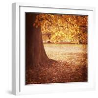 Fall Tree 001-Tom Quartermaine-Framed Giclee Print