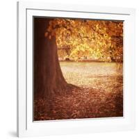 Fall Tree 001-Tom Quartermaine-Framed Giclee Print