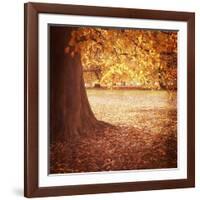 Fall Tree 001-Tom Quartermaine-Framed Giclee Print