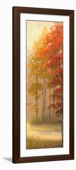 Fall Trees I-Michael Marcon-Framed Premium Giclee Print