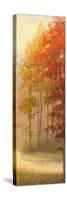 Fall Trees I-Michael Marcon-Stretched Canvas