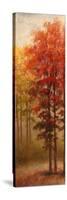 Fall Trees II-Michael Marcon-Stretched Canvas