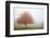 Fall Trees in the Fog-Craig Tuttle-Framed Photographic Print