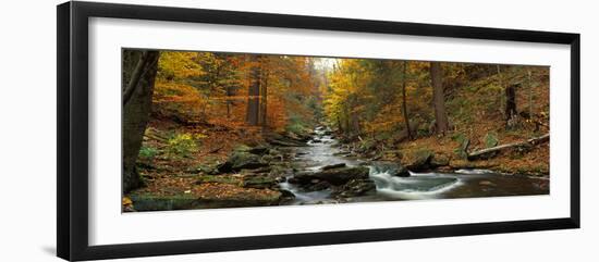 Fall Trees Kitchen Creek Pa-null-Framed Photographic Print