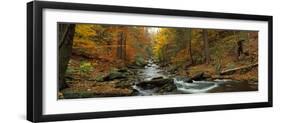 Fall Trees Kitchen Creek Pa-null-Framed Photographic Print