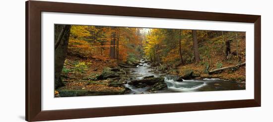 Fall Trees Kitchen Creek Pa-null-Framed Photographic Print