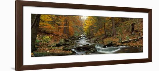 Fall Trees Kitchen Creek Pa-null-Framed Photographic Print