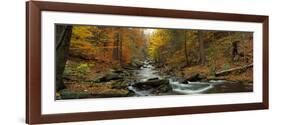 Fall Trees Kitchen Creek Pa-null-Framed Photographic Print