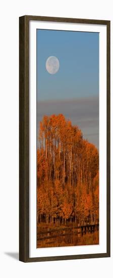 Fall Trees Moon I-Linden Sally-Framed Premium Giclee Print