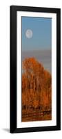 Fall Trees Moon I-Linden Sally-Framed Premium Giclee Print