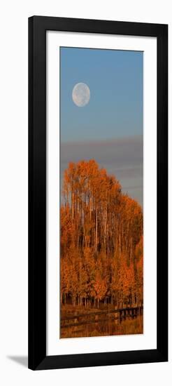 Fall Trees Moon I-Linden Sally-Framed Premium Giclee Print