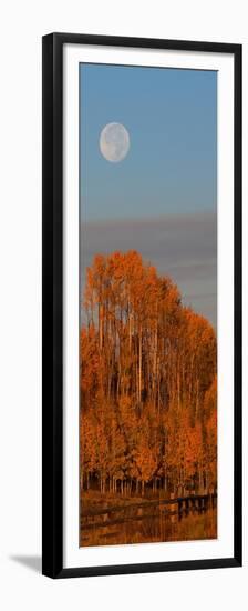 Fall Trees Moon I-Linden Sally-Framed Premium Giclee Print